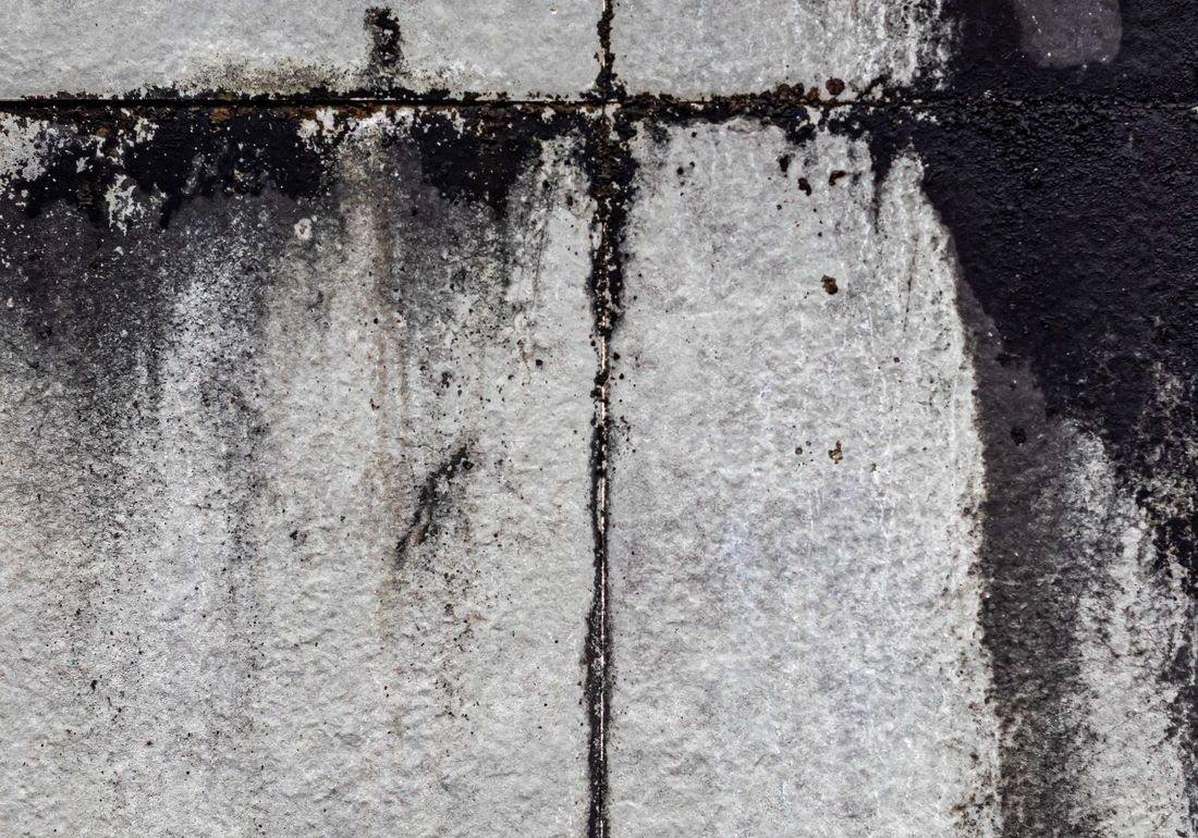 Mold and water staining on a concrete block basement wall in Gettysburg PA