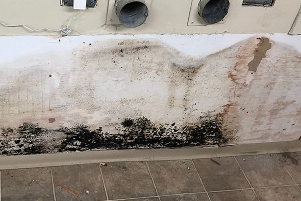 Black mold growing along the edge of a floor and baseboard