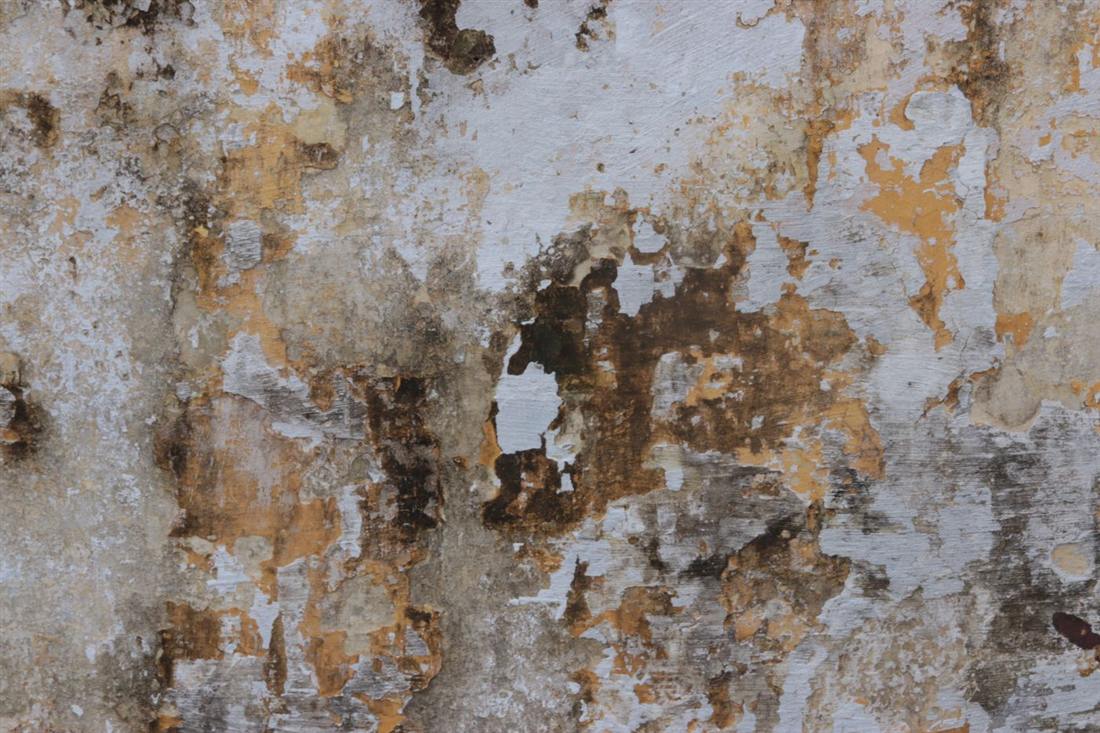 Black mold growth spreading across a damp interior wall in a Gettysburg PA home