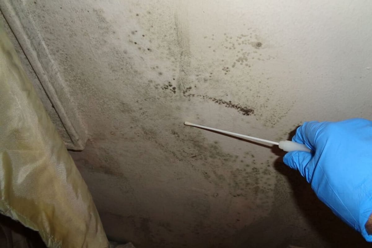 Gloved hand checking mold growth on a wall during a mold inspection