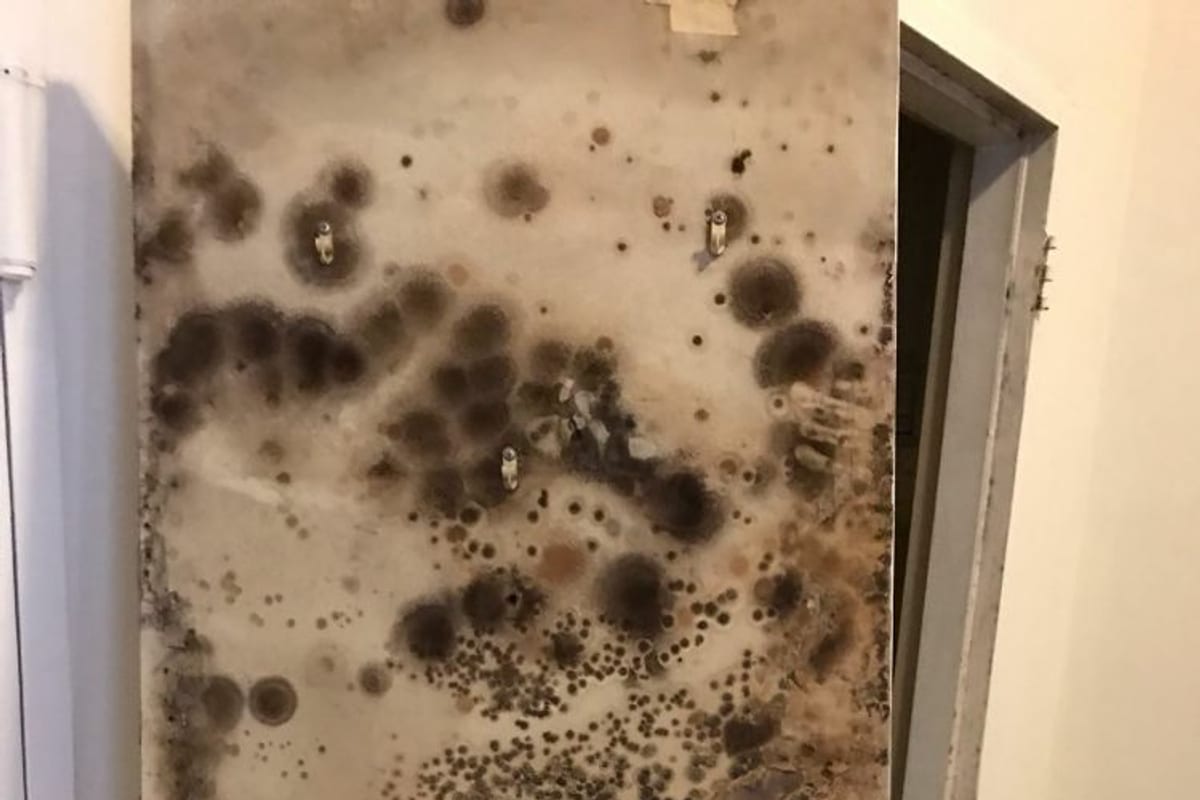 Water stains and mold near a door frame caused by a hidden leak