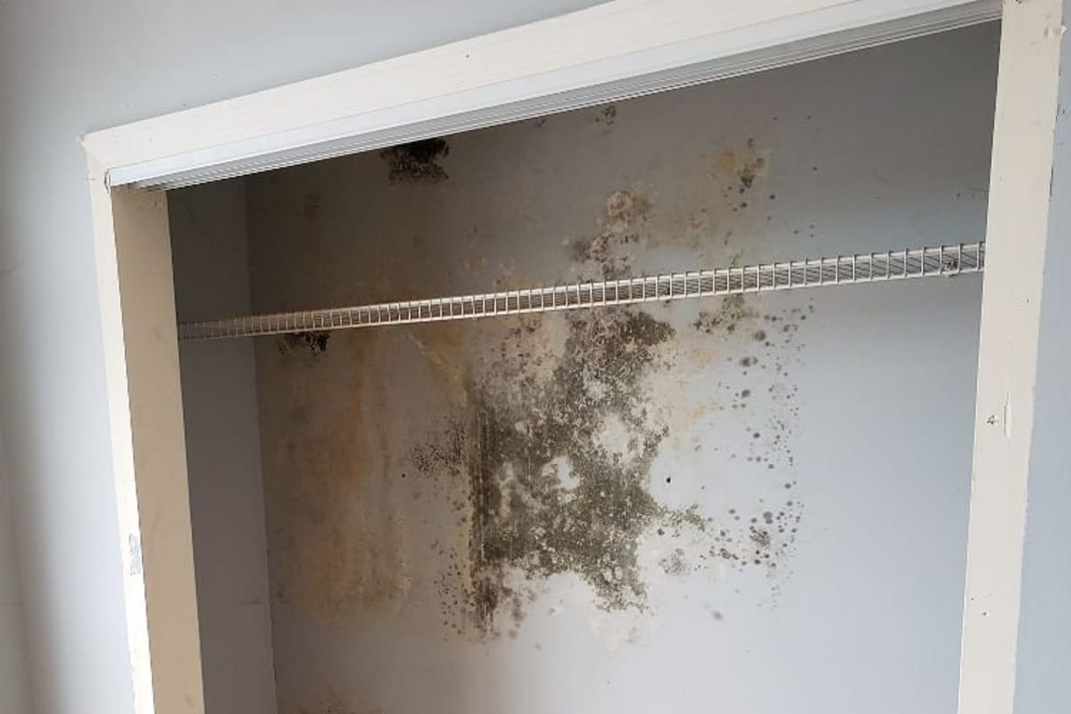 Mold growing on the walls inside a closed closet