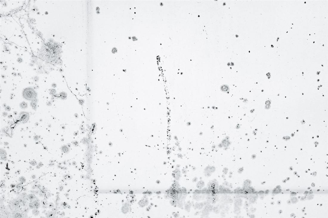 Black mold spots spreading across a white interior wall in a Gettysburg PA home
