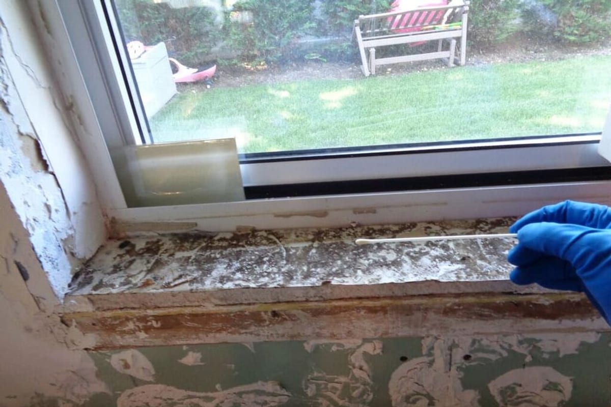 Mold and peeling paint on a window sill from condensation