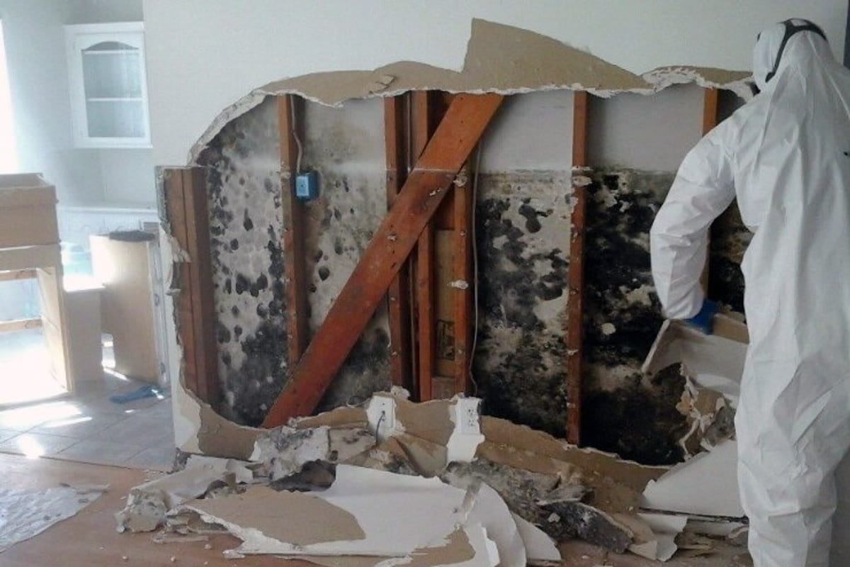 Technician in protective gear removing mold-damaged drywall during mold remediation in Gettysburg, PA