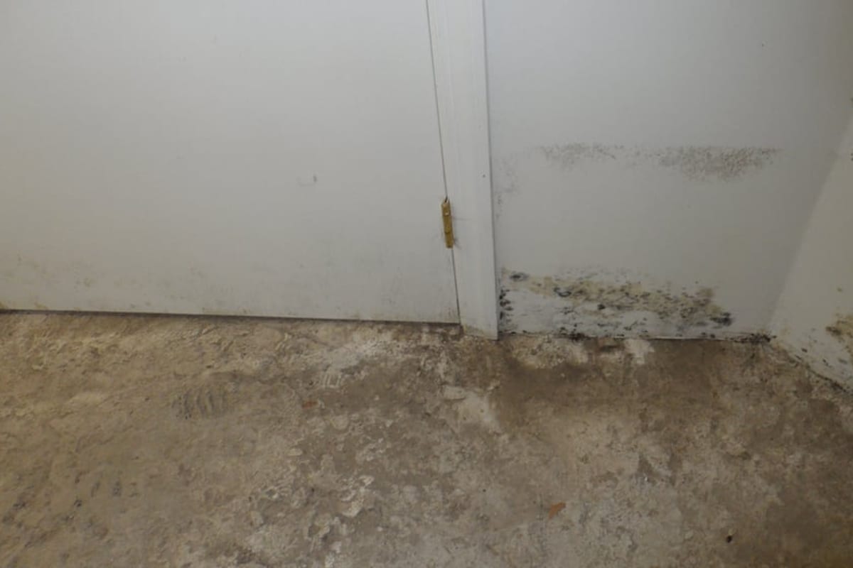 Water staining and mold along the base of a wall in an older property