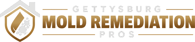Gettysburg Mold Remediation Pros